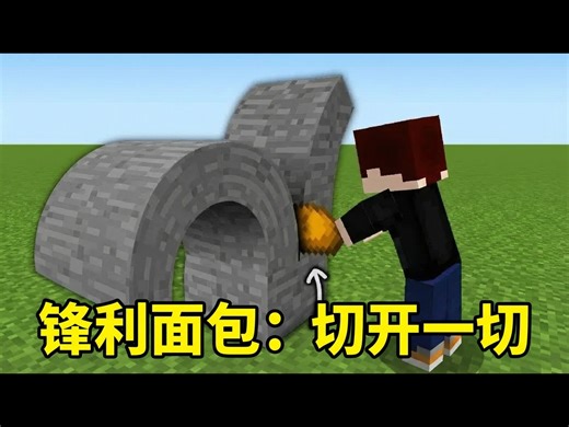 【中配】我在我的世界里加入了极其愚蠢的道具 - Element X