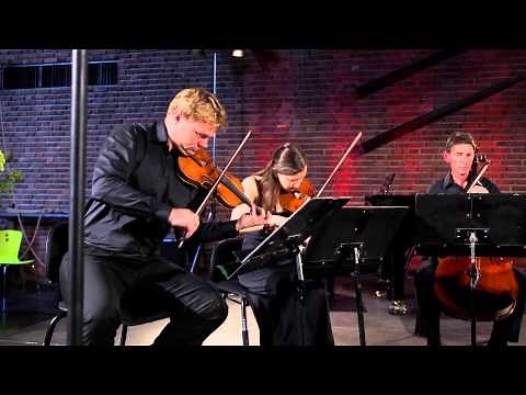Boccherini String Quintet - Op. 42 No. 2 (G.349) Mvt. 4 (Coucheron,Welde,Phelps,Rex,Baltacigil)