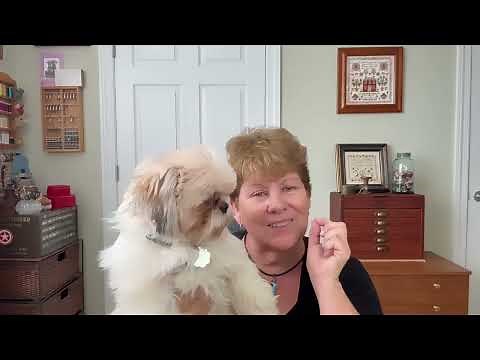 FlossTube 52 - It's a "hybrid" view today! Stitching, charts & kits, haul and Ziggy! (Oct 4, 2025)