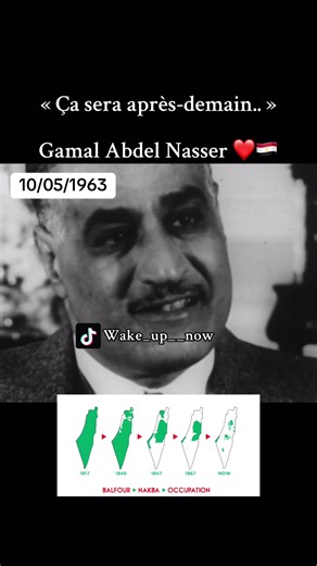 #egypte #palestineفلسطين #histoire #temoignage #gamalabdelnasser