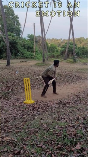 Cricket is an Emotion🥲😊 #cricket #cricketlover #cricketshorts #villagecricket #nostalgia #90s #trend