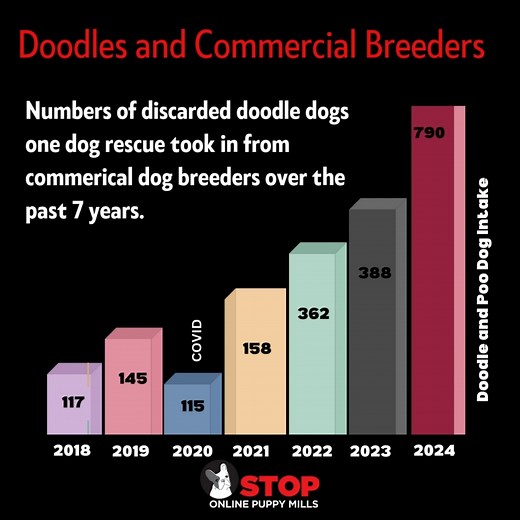 6.1K views · 138 reactions | No one wants to believe their breeder is...