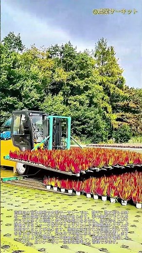 商業農場における鉢植えの配置間隔：自動間隔調整フォーク装置の概要 — 現代農業における苗床での自動間隔調整プロセス