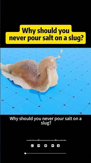 #knowledge why should you never pour salt on a slug
