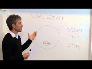 Urban ecology