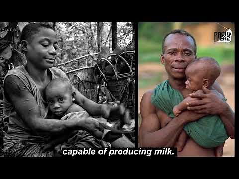 Aka pygmy's tribe breastfeeding allows fathers.