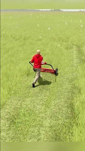 I mowed grass for 6 hours — and THIS happened