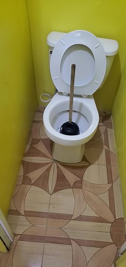 Toilet Repair and Flange Installation Guide