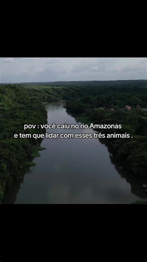 Você caiu no rio Amazonas 😳 #misterio #curiosidades #natureza #rioamazonas #viral