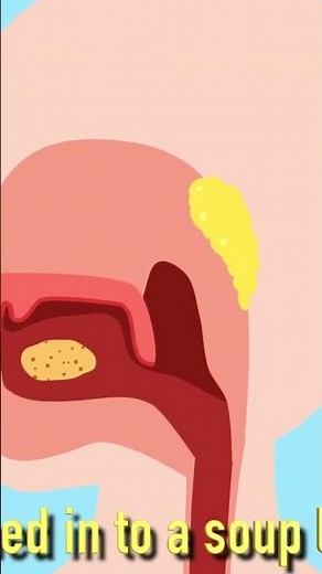 Fun Digestive System Song for Kids (Small intestines)