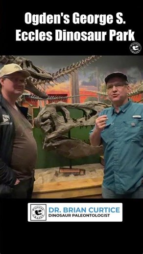 Tinker the T. rex Skull: Face Bites?
