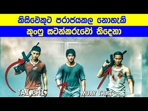 කිසිවෙකුට පරාජයකල නොහැකි කුංෆු සටන්කරුවෝ තිදෙනා Movie Explained in Sinhala | Sinhala TVcaps