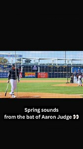 Yankees Spring Training has officially begun! | Aaron Judge Fan Club