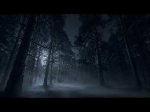 Night in the Dark Forest: Mysterious Ambience for Sleep & Dreaming 🌲💤