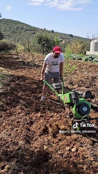 The Importance of Plowing for Organic Farming