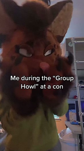 Group Howl at Furry Convention | Majestic Fursuit Howling