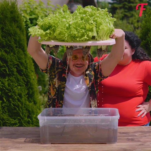 55K views · 51 reactions | Building beautiful flower and vegetable beds with DIY skills. | Fabiosa Daily | Facebook