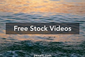 Tropical Wallpaper Videos, Download The BEST Free 4k Stock Video Footage & Tropical Wallpaper HD Video Clips