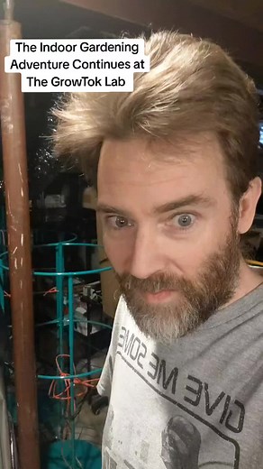 Autoflower Gardening From Seed at the GrowTok Lab! Cycle 2 begins! #gardening101 #gardentips #growtok #indoorgarden #autoflower #photoperiod #growtoklab