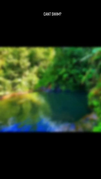 Explore Titou Gorge: A Nature Adventure in Dominica