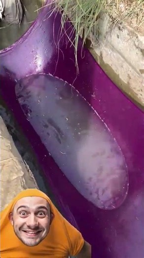 سمك😂😂#دويتو #funny #ضحك #كوميديات #ترند #شلتنا #اعتني #السعودية #العراق #سوريا #لايك_اشتراك