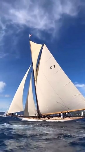 68K views · 1.9K reactions | Sail Bulgaria on Reels | Facebook