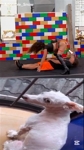 #funny the guy wasn't ready for it 😂😂