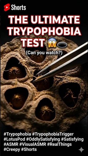 The Ultimate Trypophobia Test 😱🕳️ (Can you watch?)