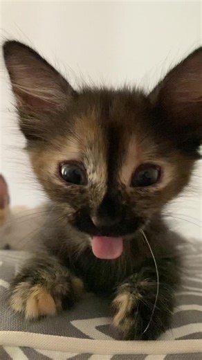 Arwen&Galadriel on TikTok