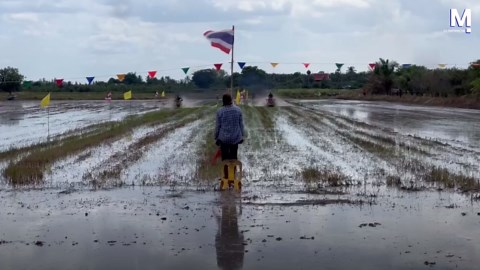 Farmers turn rice field into race track for plowing contest in Thailand