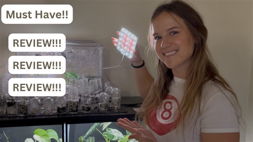 Watch Honest Review - Full Spectrum Grow Light on Amazon Live