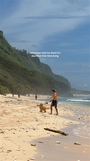 Remember that for them it's also their first time living 🥺 #goldenretriever #puppy #doglife