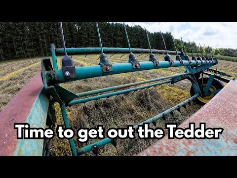 Tedding Hay & Purebred Simmental Cattle | Small Family Farm Vlog