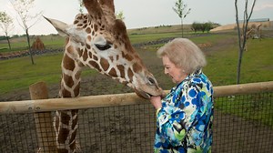 Columbus Zoo honors Betty White's conservation legacy with donation to Gorilla Doctors