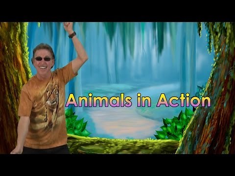 BRAIN BREAKS | Brain Breaks Song | Animals In Action 1 | Jack Hartmann