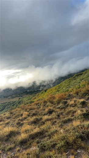 kchaddoutdoors on TikTok