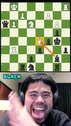 Chiến Thuật Cờ Vua Đỉnh Cao: Tìm Hiểu Sai Lầm