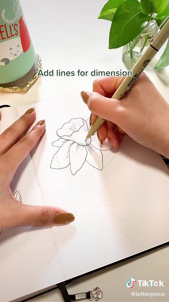 Step by Step Daffodil Flower Drawing Tutorial