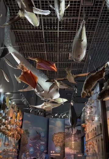 国立科学博物館での素晴らしい体験