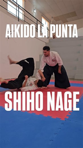 541 reactions · 21 shares | Aikido La Punta Shiho nage. | Aikido San Luis | Facebook