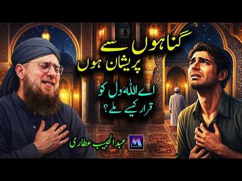 Gunahon Se Preshan Hoon Ay Allah Dil Ko Qarar Kese Mily Abdul Habib Attari