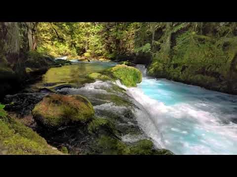 Nature’s Power – Stunning Waterfall Views