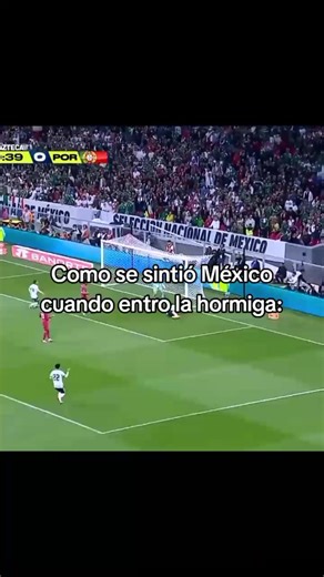 La hormiga y su realidad alterada: ¡México vs Portugal!