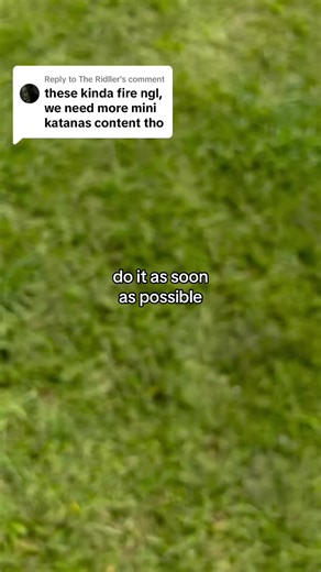 🔪 Obsession-Worthy Katanas 🎁 Limited Time Discount FREE Display Stand ✨ Collect Your Favorite Heirlooms Now Pulled straight from the screens. Each keychain is precision-crafted, iconic, and obsessively--collectible. Shop now for a LIMITED TIME discount, plus a FREE Display Stand on us | Acejin Katana