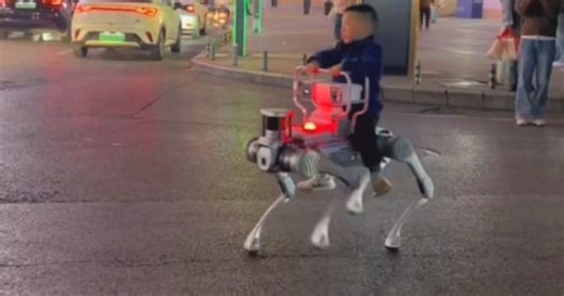 Child rides robotic dog across road in China