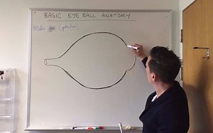 眼科知识每日一学：1. Basic Eye Anatomy and Physiology