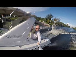 1993 Sea Ray 400 Express Cruiser test