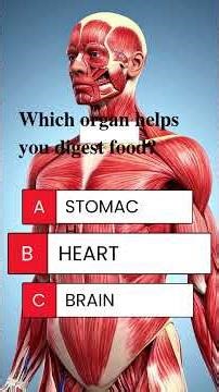 💡 5 Easy Questions About the Human Body You Must Know! | Body Quiz #2