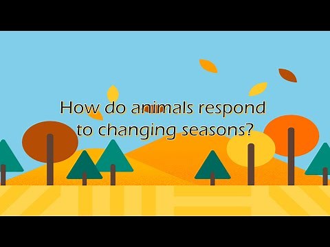 Lesson 2: How do animals respond to changing seasons?