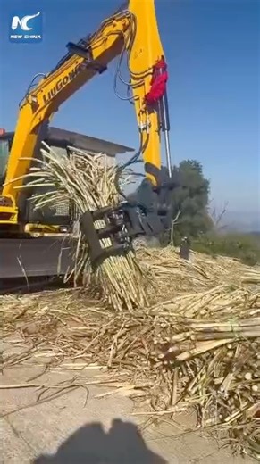 Drones now carry harvested sugar cane down the hills of China's Yunnan. Each moves 25 tonnes daily, replacing back-breaking labour, saving huge costs and boosting efficiency. ------------------------------------------------ For more content in Chinese, click and follow our Chinese page https://www.facebook.com/chinaembmyCN For more content in Bahasa Malaysia, click and follow our BM page https://www.facebook.com/chinaembmyBM | China Embassy in Malaysia